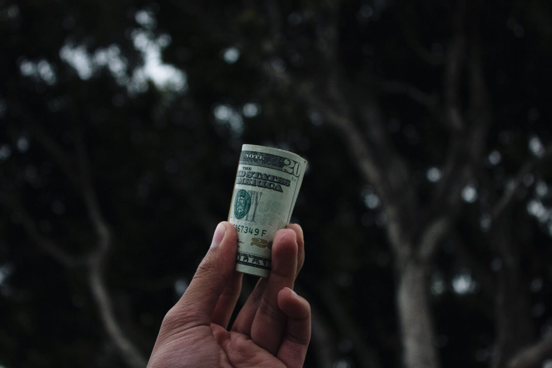 picture of person holding money in hand